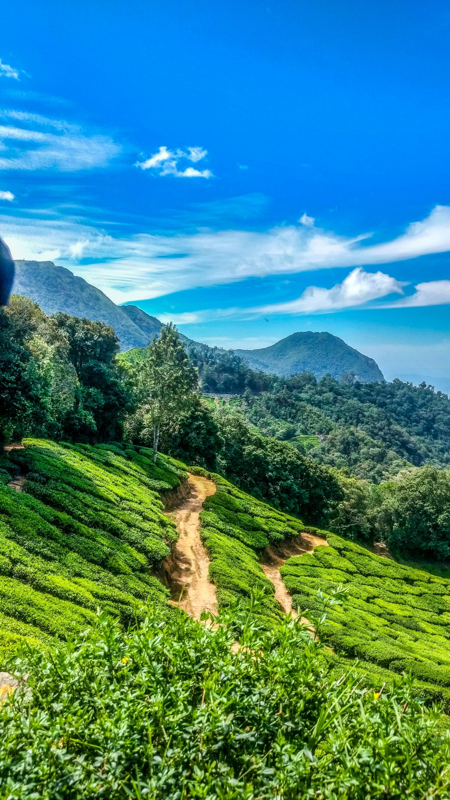 kerala-destination
